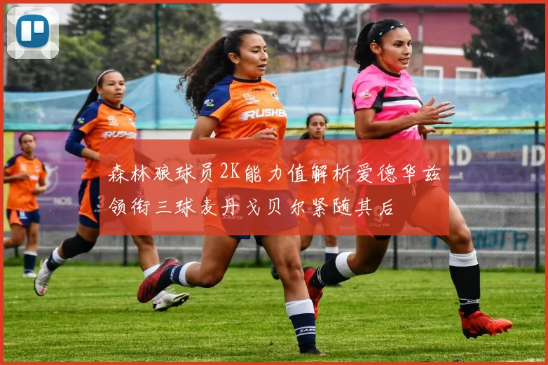 森林狼球员2K能力值解析爱德华兹领衔三球麦丹戈贝尔紧随其后