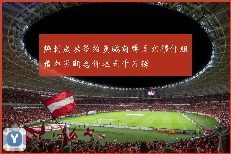 热刺成功签约曼城前锋马尔穆什租借加买断总价达五千万镑